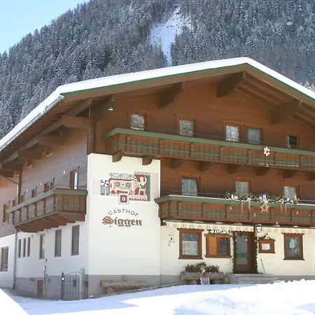 Siggen Hotel 3*