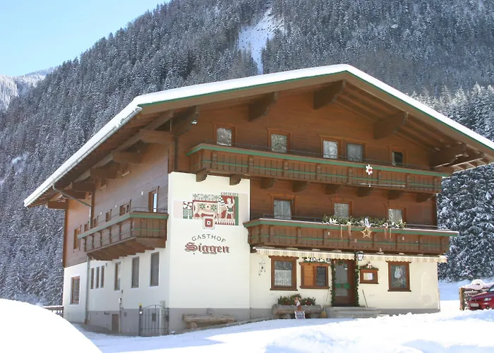 Siggen Hotel 3*